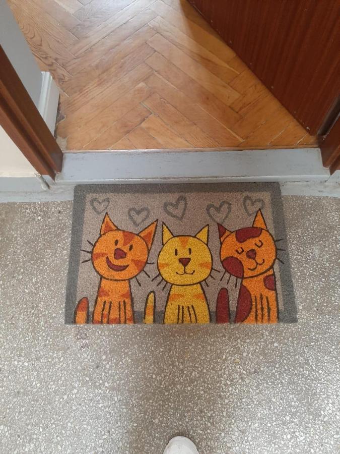 Apartament Koci Leb Stary Toruń Buitenkant foto