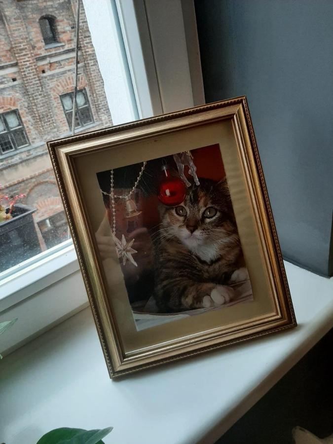 Apartament Koci Leb Stary Toruń Buitenkant foto