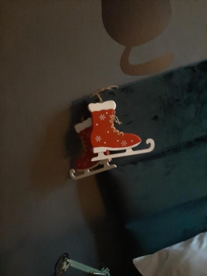 Apartament Koci Leb Stary Toruń Buitenkant foto